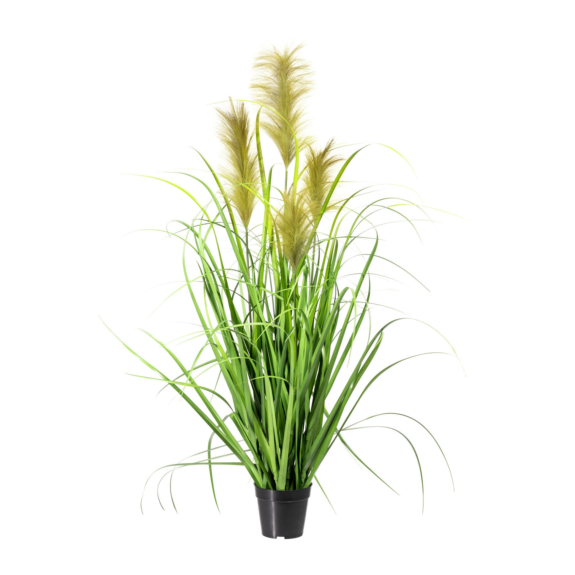 Kopu® Kunstplant Chinees Riet 120 cm - 4 pluimen - in zwarte pot