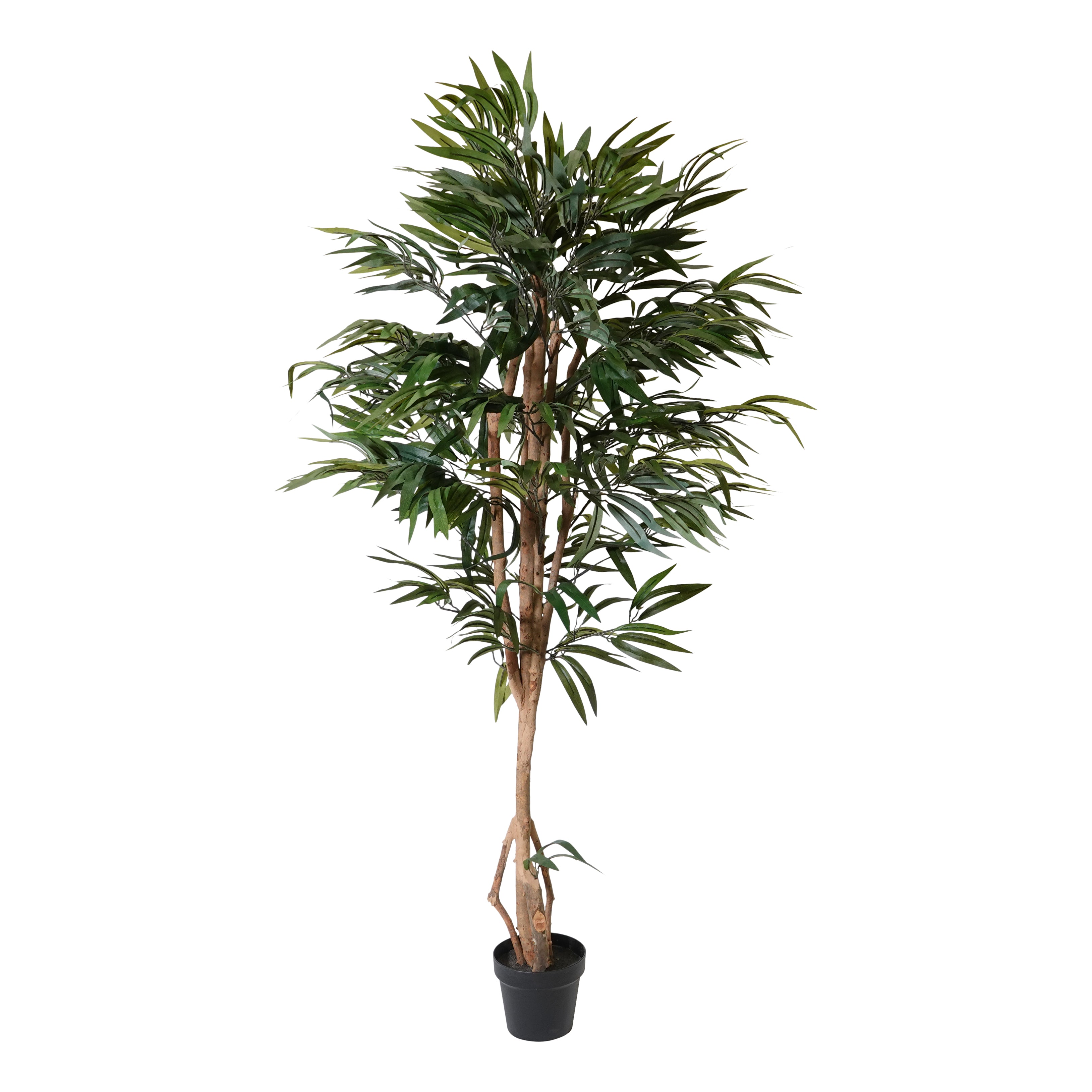Kopu® Kunstpflanze Ficus 150 cm im weißen Topf – 720 Blätter
