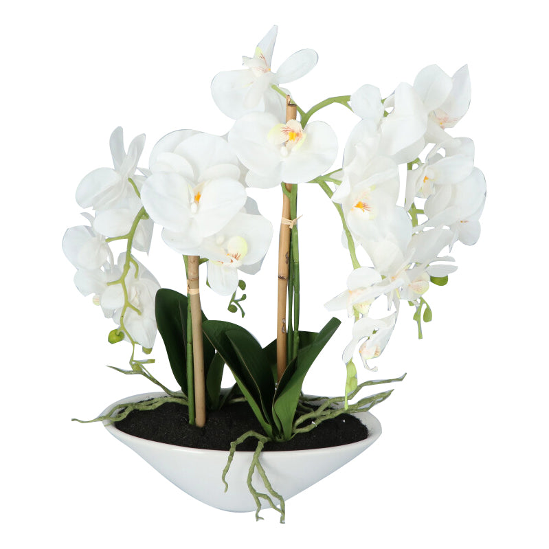 Kopu® Kunstbloem Orchidee 53 cm Wit met Schaal Ovaal - Phalenopsis