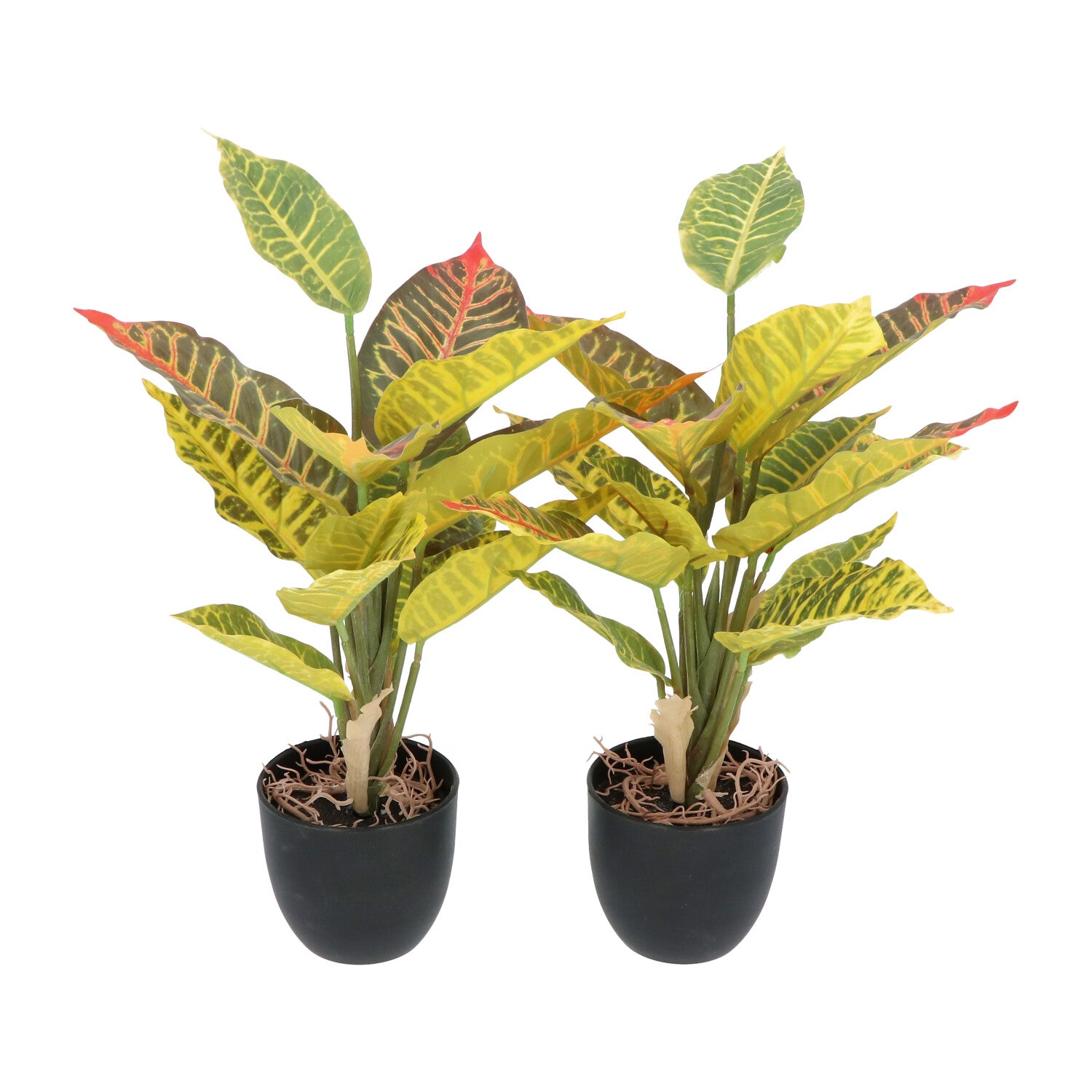 Kopu® 2 stuks Kunstplant Croton 35 cm - 14 bladeren - in zwarte pot