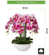 Kopu® Kunstbloem Orchidee 54 cm Roze met Schaal - Phalenopsis