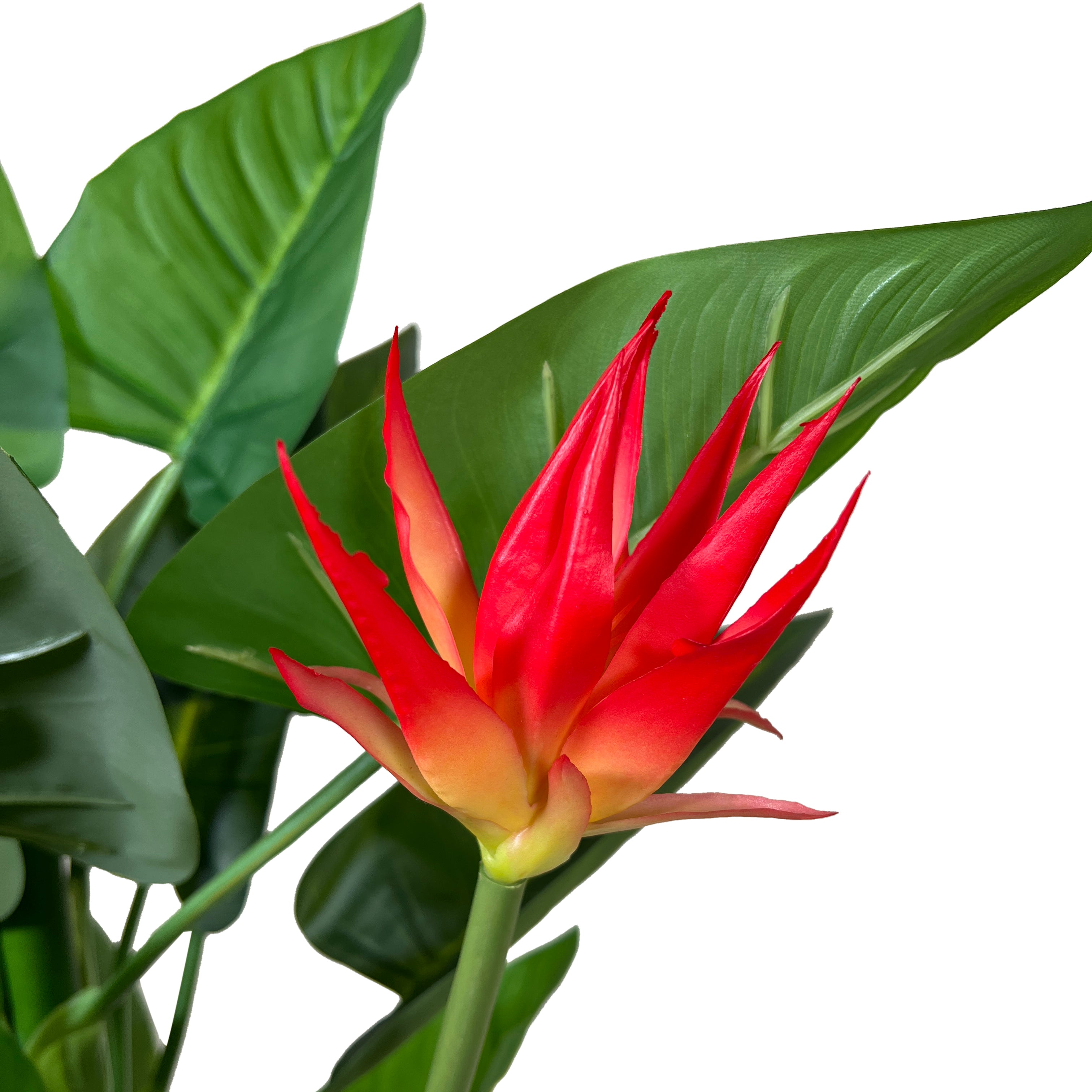 Kopu® Kunstpflanze Guzmania 105 cm mit 3 orangefarbenen Blüten - Kunstpflanze