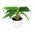 Kopu® 2 Stück Calla Kunstpflanze 44 cm – Zantedeschia Kannenpflanze Weiß