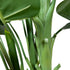 Kopu® Kunstpflanze Guzmania 105 cm mit 3 orangefarbenen Blüten - Kunstpflanze