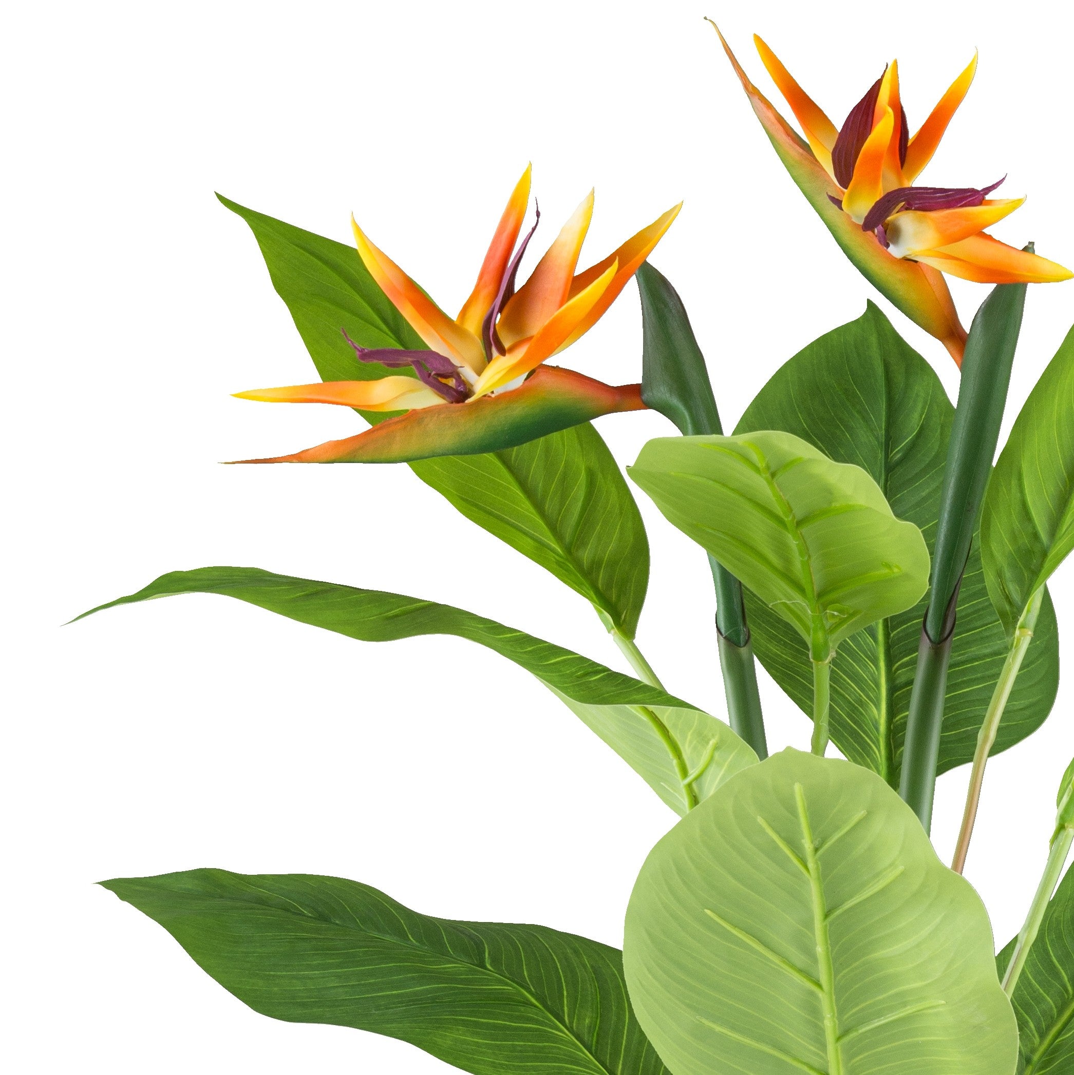 Kopu® Kunstplant Strelitzia 80cm pot wit/groen - Paradijsvogelplant