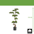 Kopu Kunst Bonsai den Circa 125 X 50 cm - In Een Zwarte Plastic Pot.