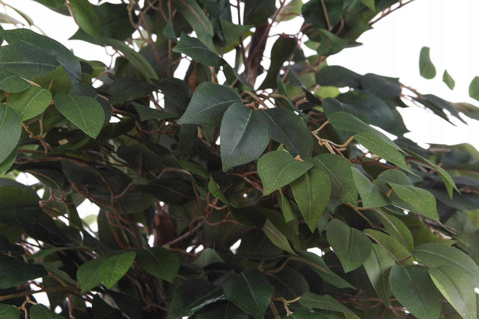 Kopu® Kunstplant Ficus 125 cm in pot met Natuurstam