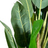Kopu® Kunstpflanze Bananenpflanze 150 cm mit 21 Blättern - Kunstpflanze