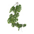 Kopu® Hangplant Split Philodendron 119 cm - Macramé Plantenhanger XL