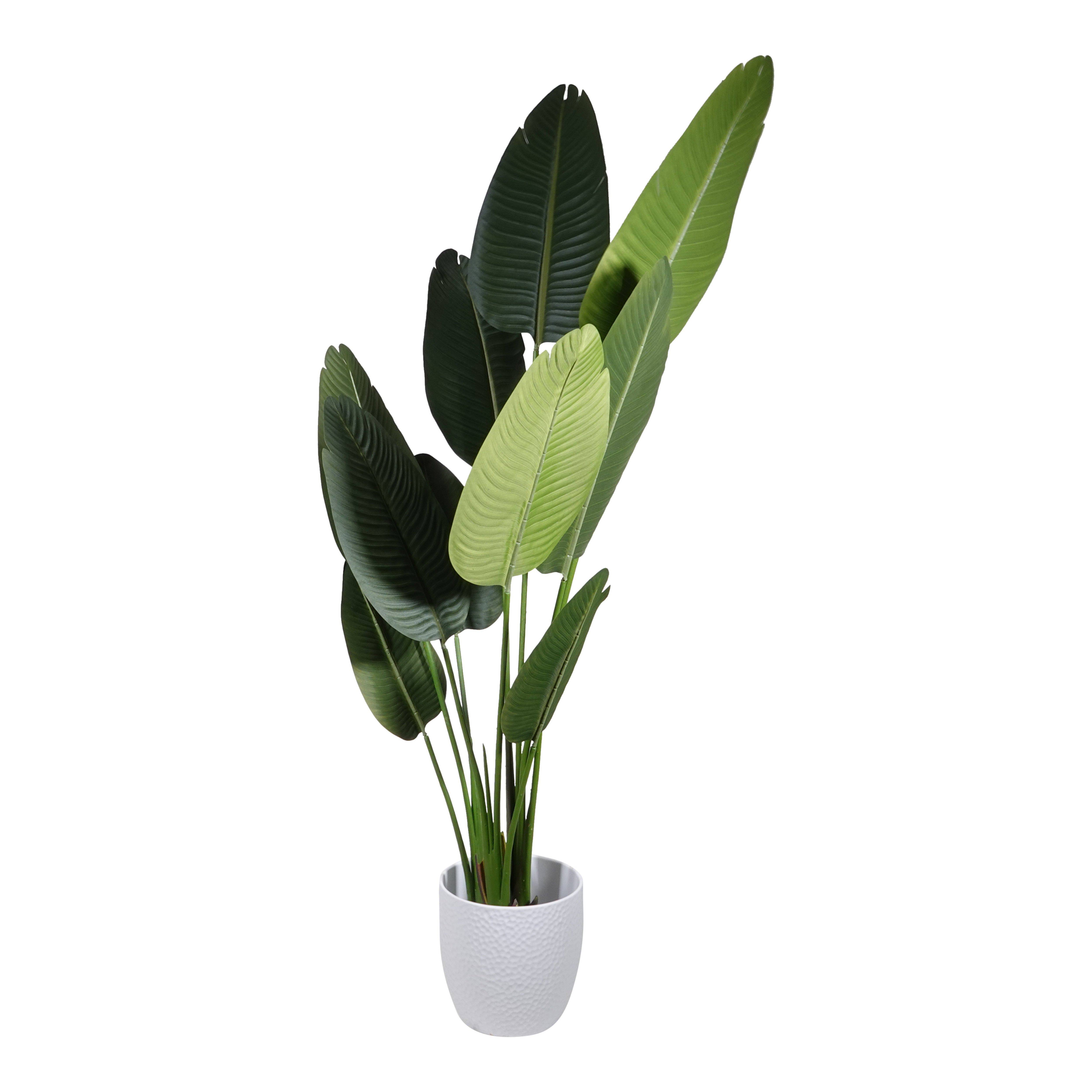 Kopu® Kunstpflanze Strelitzia Nicolai 160 cm Paradiesvogelpflanze 10 Blätter