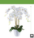 Kopu® Kunstbloem Orchidee 62 cm Wit met witte Pot - Phalenopsis