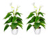 Kopu® 2 Stück Calla Kunstpflanze 44 cm – Zantedeschia Kannenpflanze Weiß