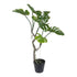 Kopu® Kunstplant Split Philodendron 75 cm - 8 bladeren - Nepplant