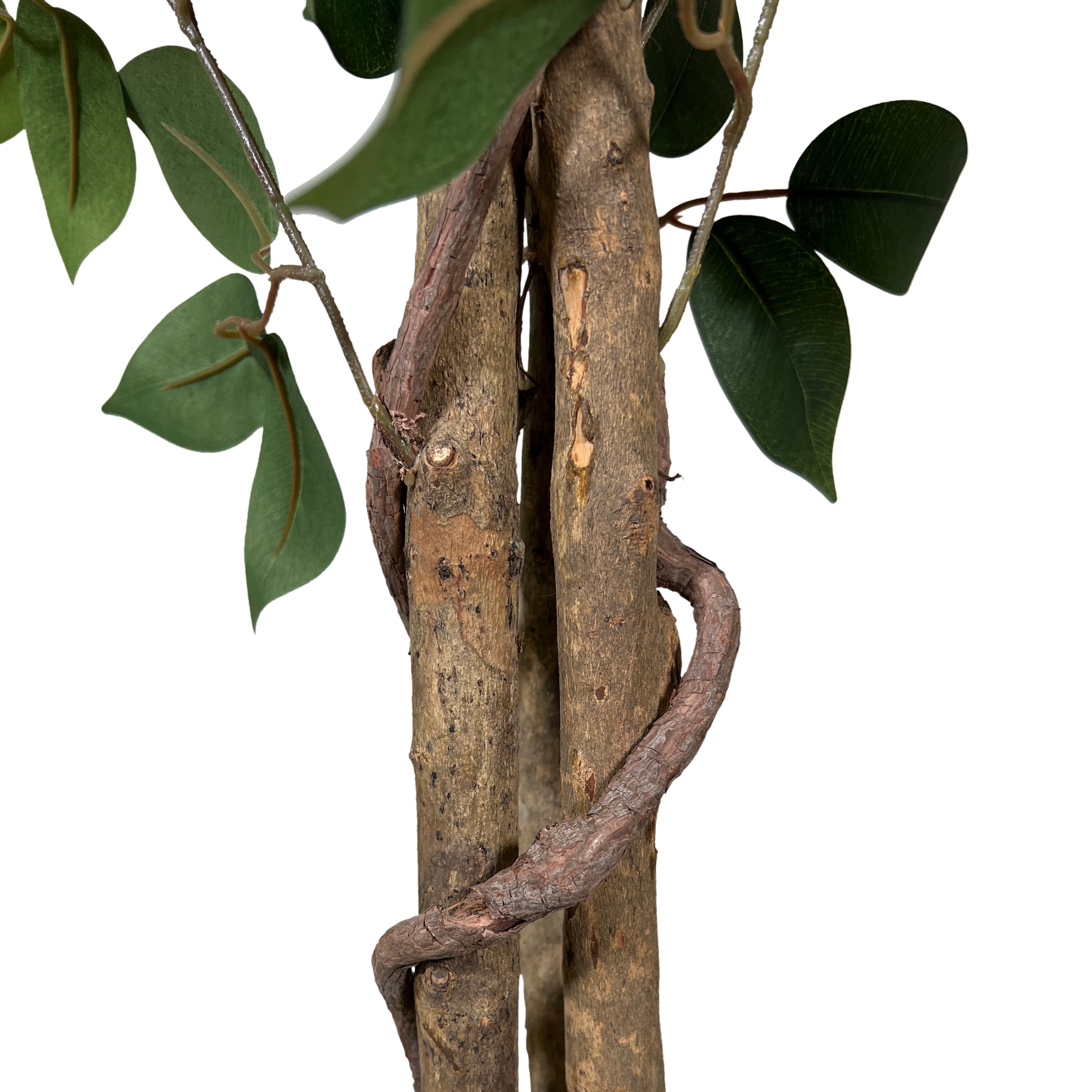 Kopu® Kunstplant Ficus 150 cm in pot - 840 bladeren met Natuurstam