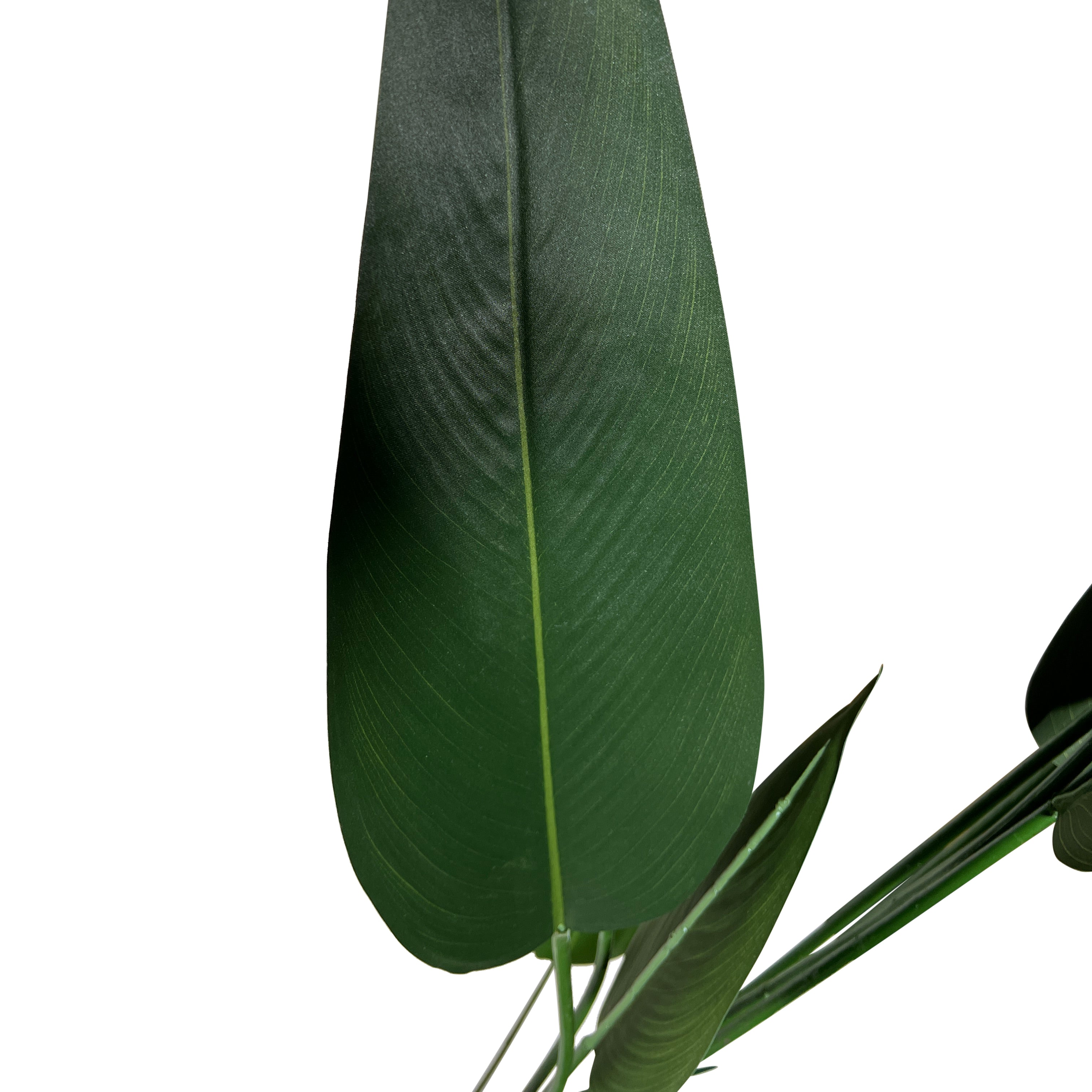 Kopu® Kunstpflanze Canna 210 cm 32 Blätter - im schwarzen Topf - Blumenschilf