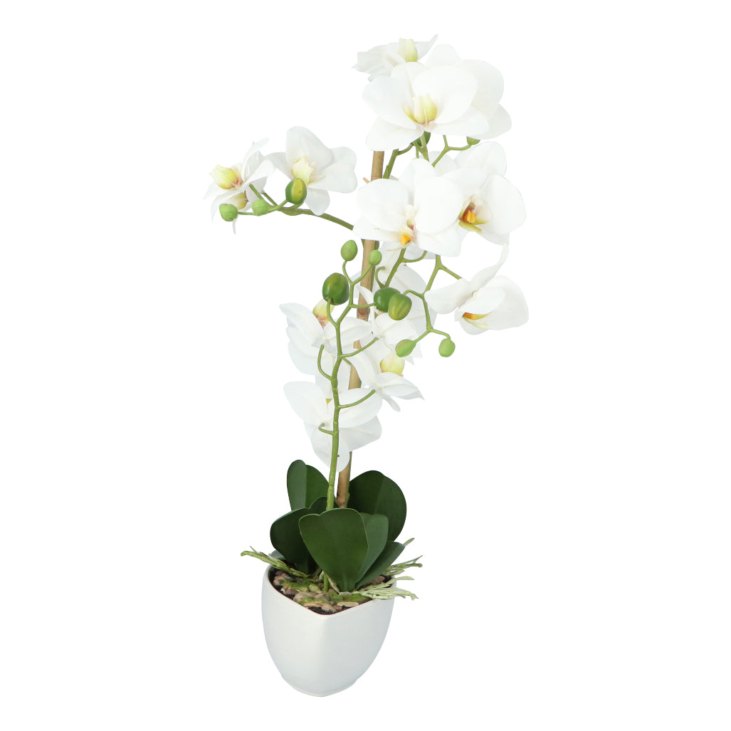Kopu® Kunstblume Orchidee 60 cm weiß mit Schale oval - Phalenopsis