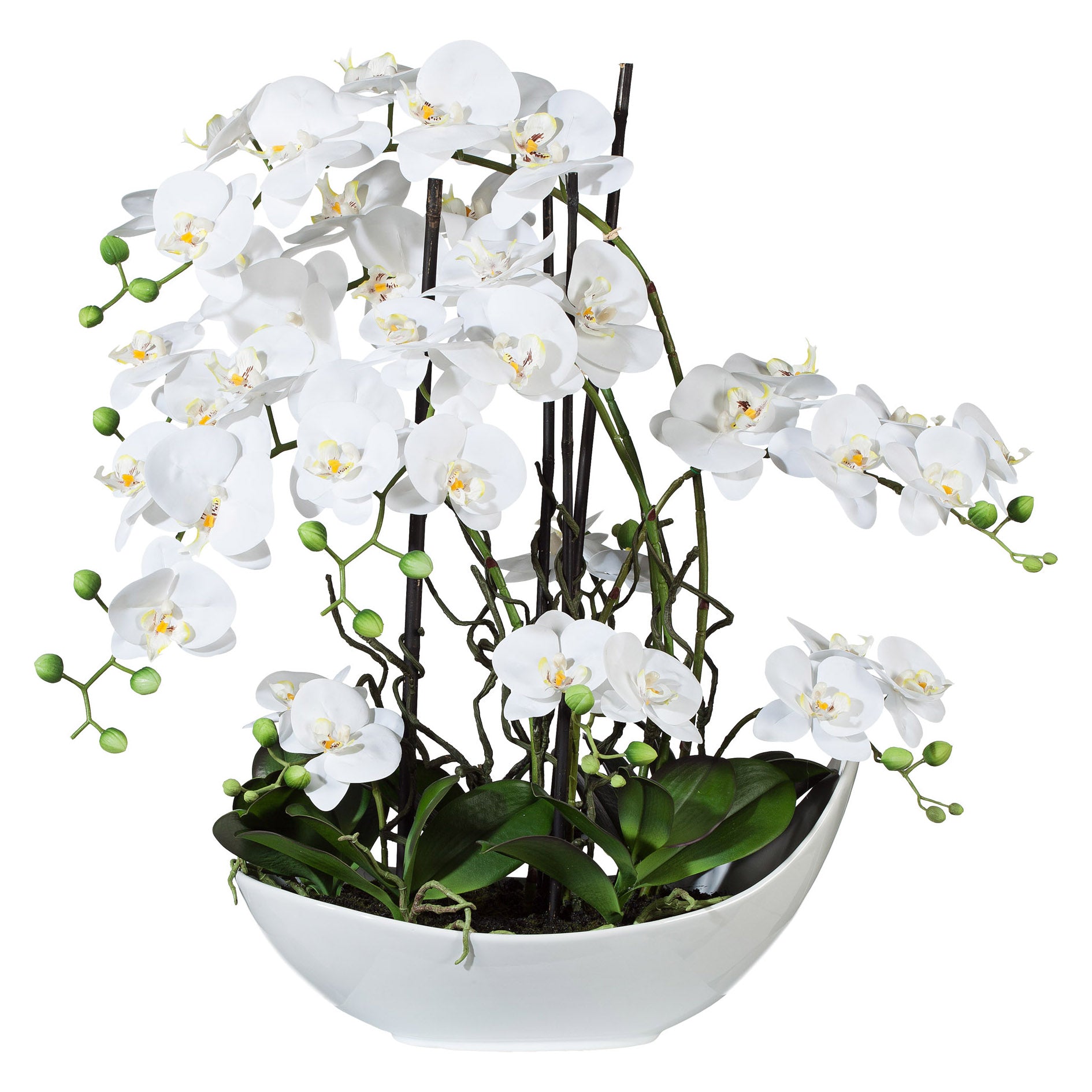 Kopu® Kunstbloem Volle Orchidee 68 cm Wit met Schaal - Phalenopsis