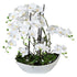 Kopu® Kunstbloem Volle Orchidee 68 cm Wit met Schaal - Phalenopsis
