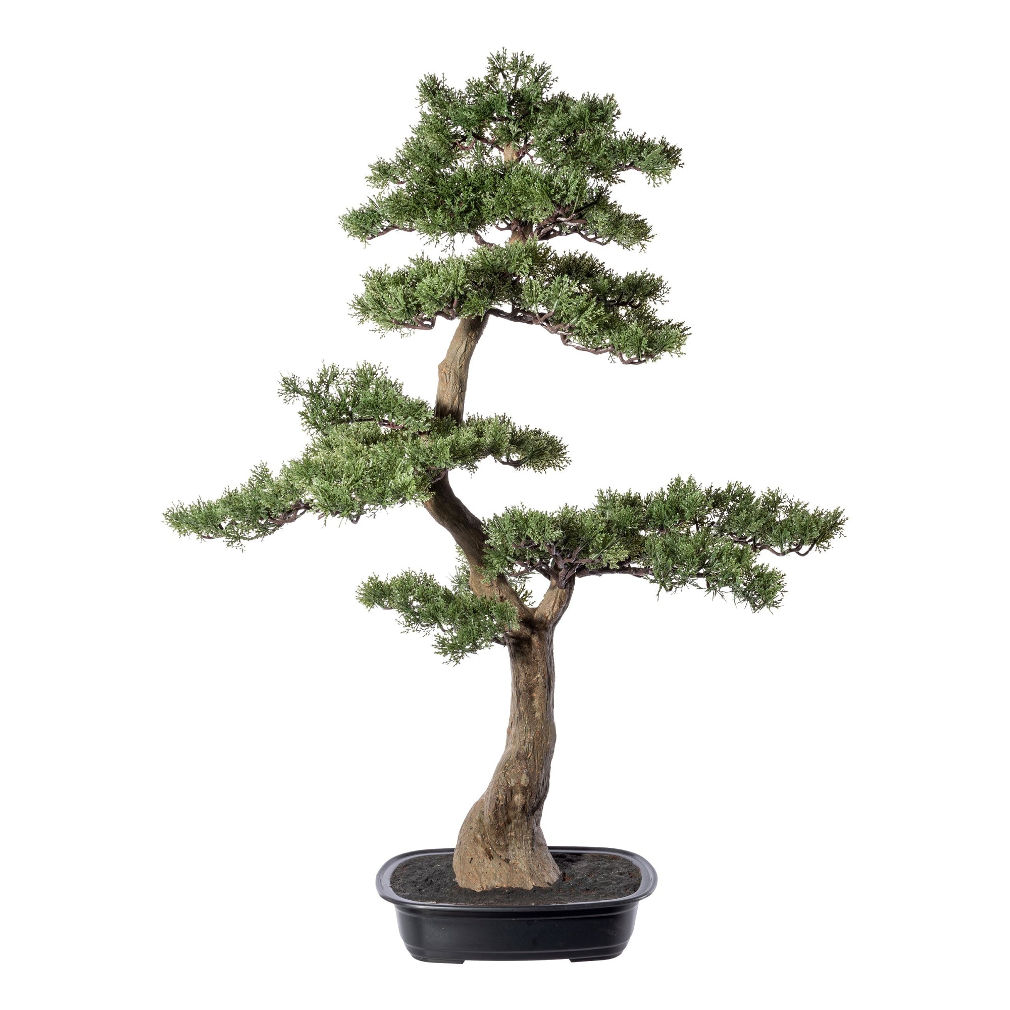 Kunstmatige cederbonsai Kopu - ca. 100 x 60 cm - in een zwarte plastic pot