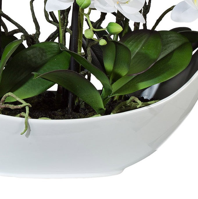 Kopu® Kunstbloem Volle Orchidee 68 cm Wit met Schaal - Phalenopsis