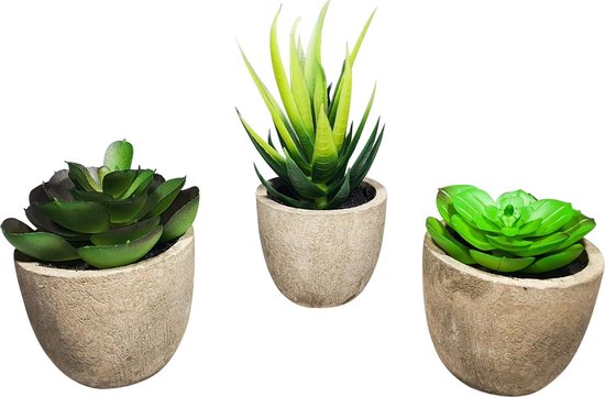 GreenDream® 3 stuks Kunstplanten - Nep planten Vetplanten - Cadeautip