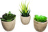 GreenDream® 3 stuks Kunstplanten - Nep planten Vetplanten - Cadeautip