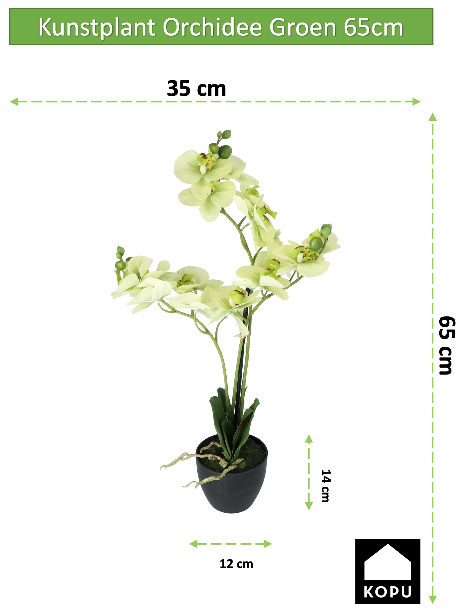 Kopu® Kunstbloem Orchidee 65 cm Groen met zwarte Schaal - Phalenopsis