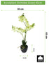Kopu® Kunstbloem Orchidee 65 cm Groen met zwarte Schaal - Phalenopsis