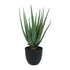 Kopu® Kunstpflanze Aloe Vera 55 cm im schwarzen Blumentopf - 17 Blätter