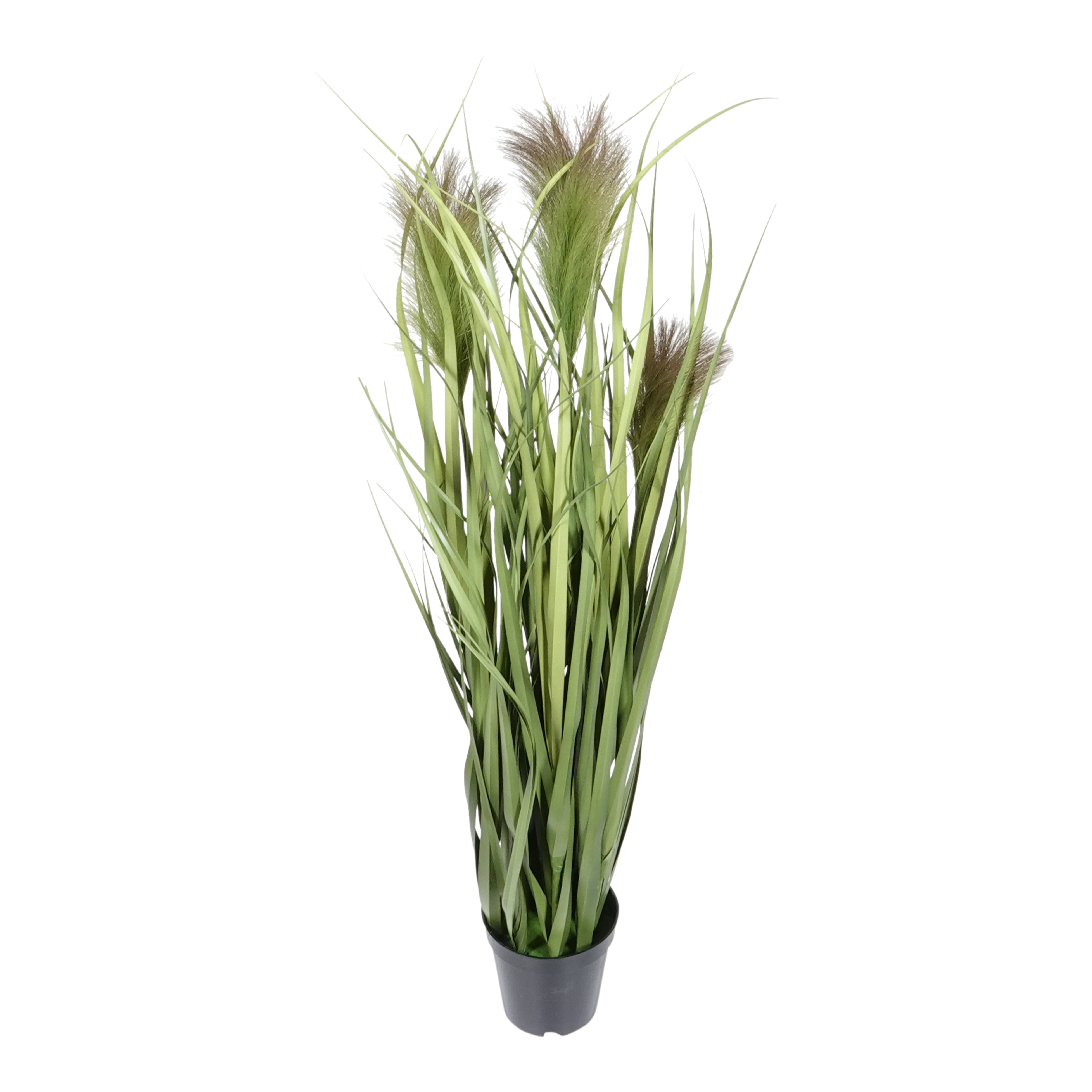 Kopu® Kunstplant Chinees Riet 90 cm - 3 pluimen - in zwarte pot