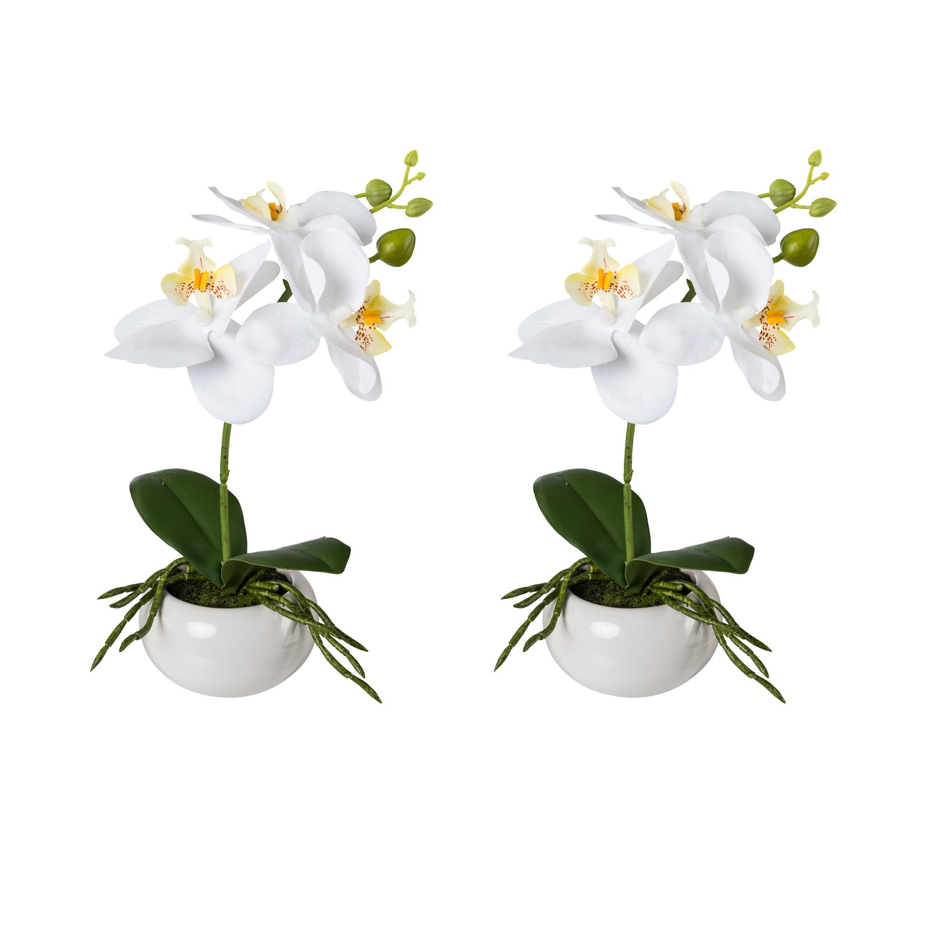 Kopu® Set 2 stuks Mini Kunstplant Orchidee 27 cm in witte Sierpot - Wit