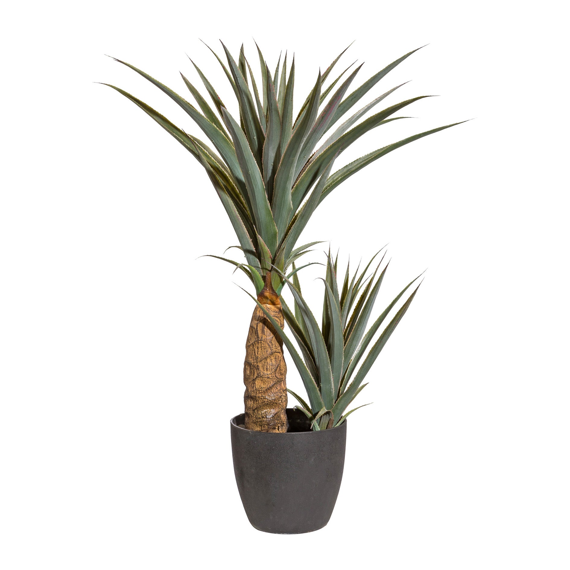 Kopu® Kunstpflanze Agave 80 cm im schwarzen Topf – 2 Stämme – Kunstpflanze