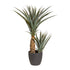 Kopu® Kunstpflanze Agave 80 cm im schwarzen Topf – 2 Stämme – Kunstpflanze