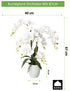 Kopu® Kunstblume Orchidee 67 cm weiß im Blumentopf rund - Phalaenopsis