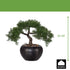 Kopu kunstmatige ceder bonsai, 26 cm hoog, met zwarte pot - Bonsaiboom