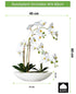 Kopu® Kunstblume Orchidee 60 cm weiß mit Schale oval - Phalenopsis