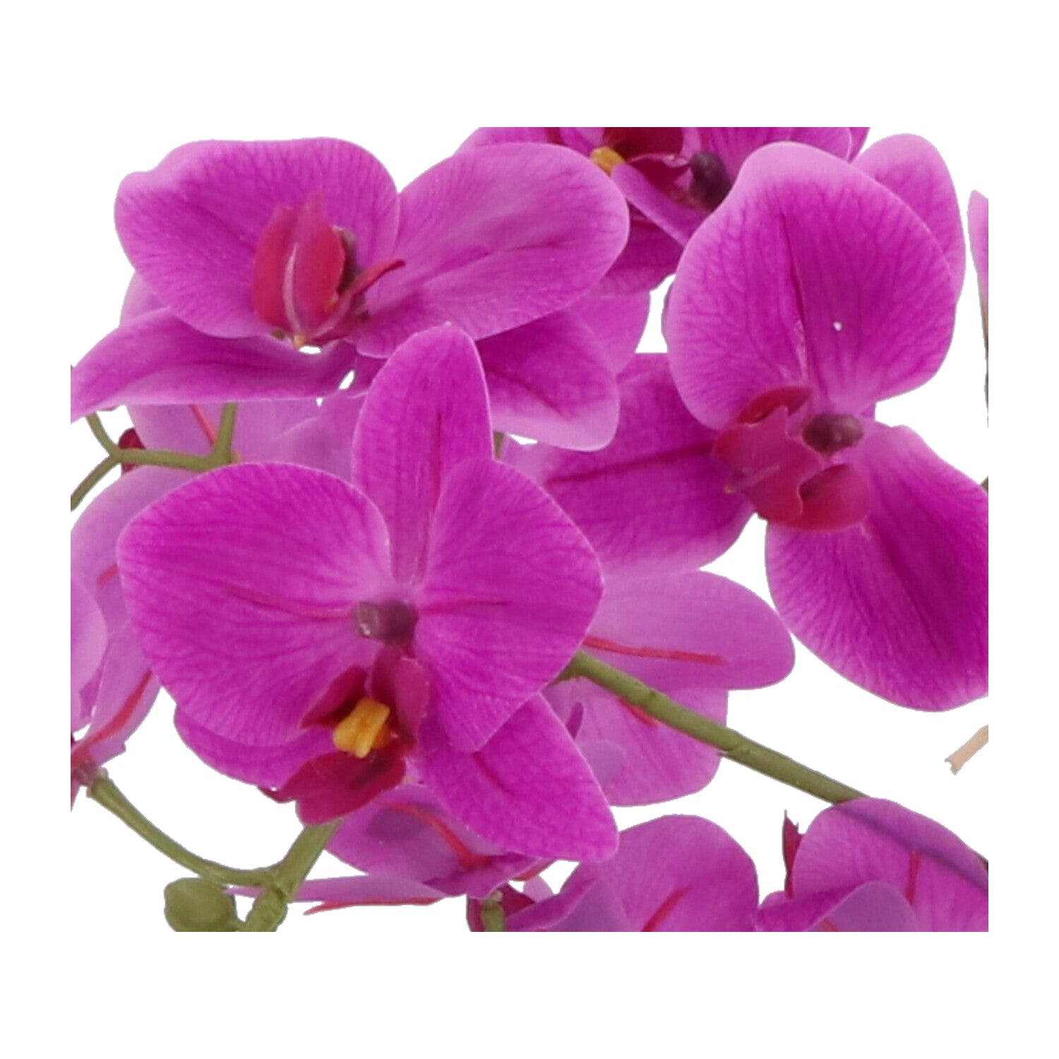 Kopu® Kunstbloem Orchidee 60 cm Roze met Schaal Ovaal - Phalaenopsis