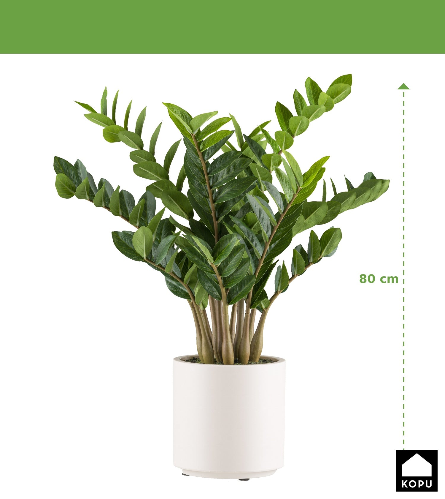 Kopu® Kunstplant Zamioculcas zamiifolia 80 cm