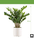 Kopu® Kunstplant Zamioculcas zamiifolia 80 cm