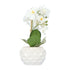 Kopu® Kunstplant Orchidee 33 cm in witte Sierpot 13x9cm - Wit