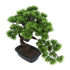 Kopu® Kunstpflanze Bonsai 40 cm Kiefer mit schwarzem Topf – Bonsai-Baum