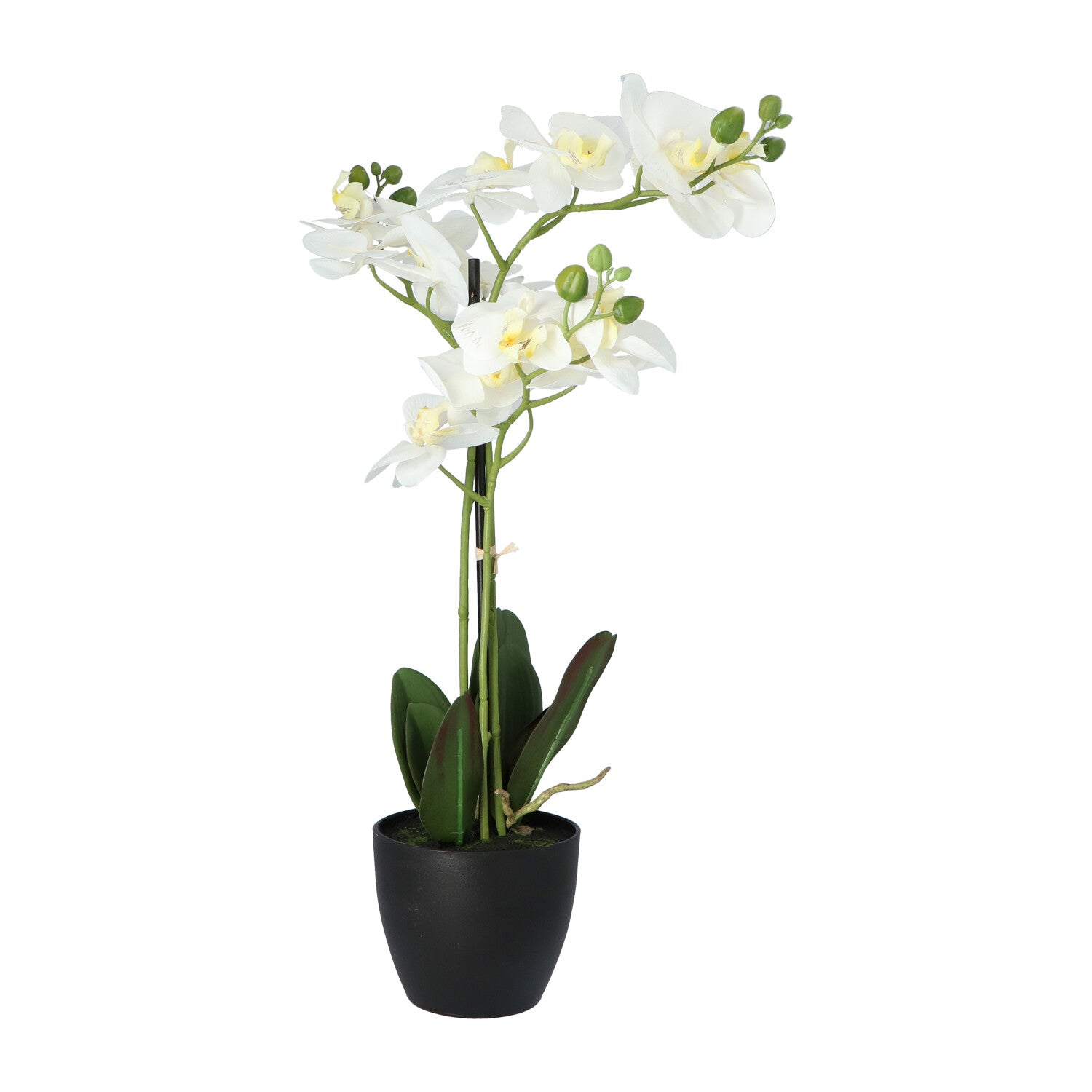 Kopu® Kunstbloem Orchidee 69 cm Wit met zwarte Pot - Phalenopsis