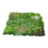 Kopu® Kunstpflanze UV-beständige Pflanzenmatte 100x100x12 cm