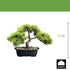 Kopu Kunstplant Bonsai - ca. 23x30 cm met Zwarte Sierpot