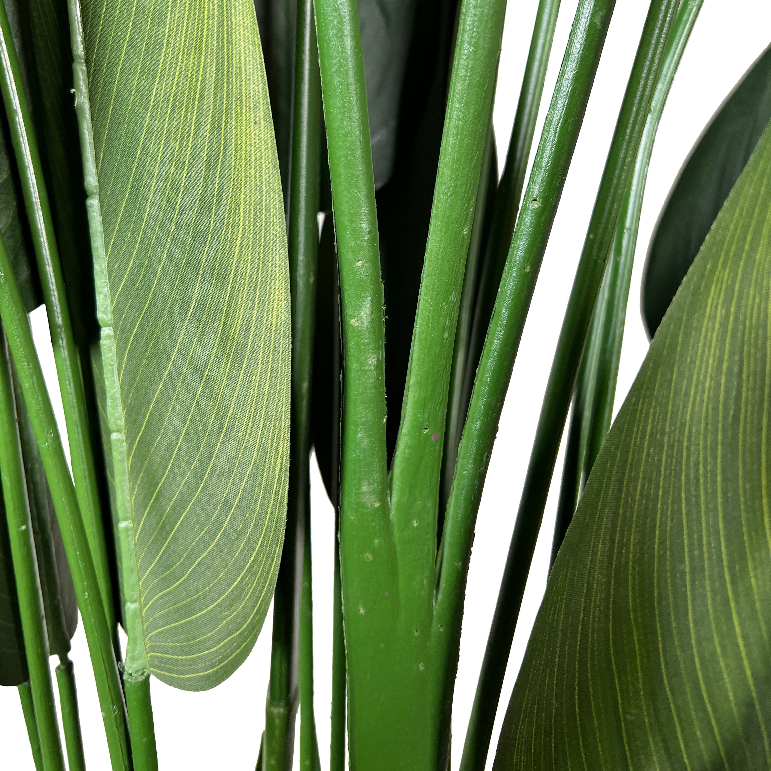Kopu® Kunstpflanze Canna 210 cm 32 Blätter - im schwarzen Topf - Blumenschilf