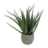 Kopu Kunstplant Aloe Vera 48 cm in binnenpot met aarde - 30 bladeren