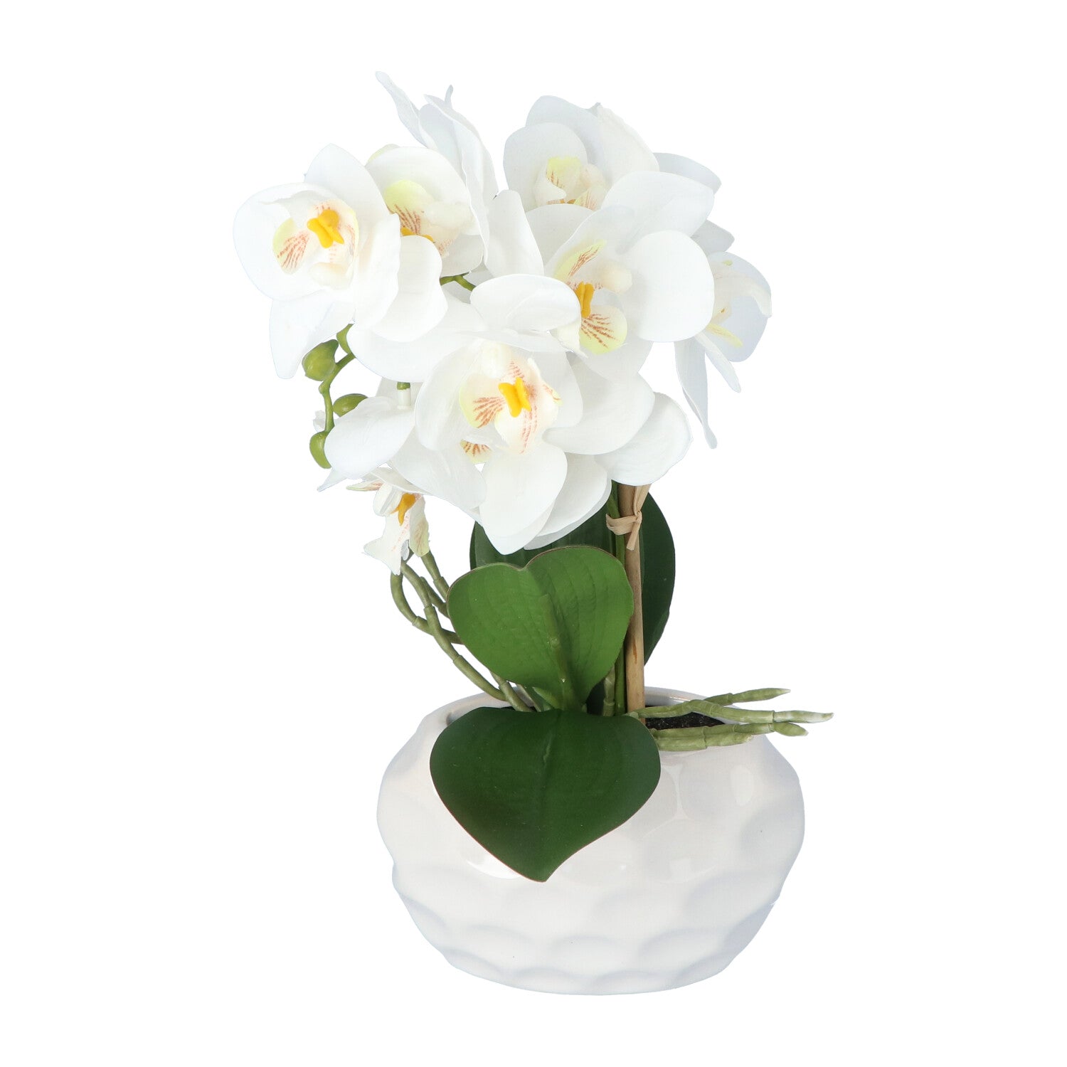 Kopu® Kunstplant Orchidee 33 cm in witte Sierpot 13x9cm - Wit