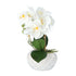 Kopu® Kunstplant Orchidee 33 cm in witte Sierpot 13x9cm - Wit
