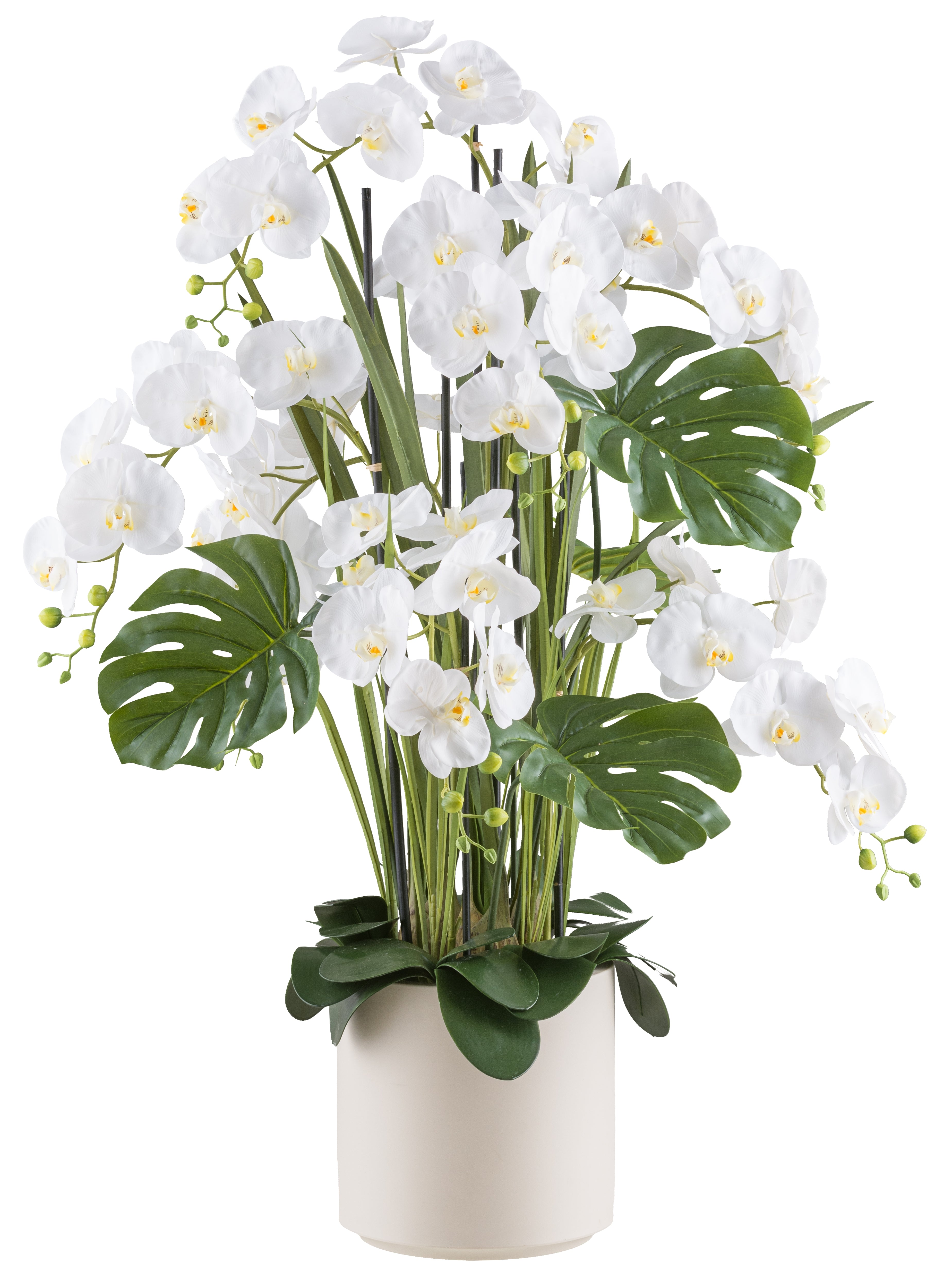 Kopu Phalaenopsis Xl Kunstorchidee 120 cm - Real Touch - Wit