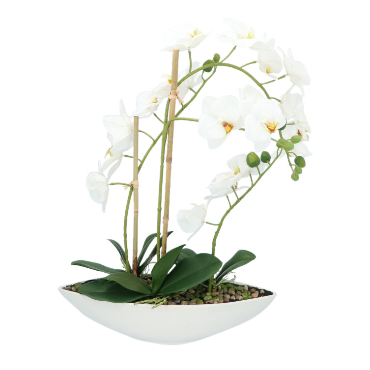 Kopu® Kunstblume Orchidee 60 cm weiß mit Schale oval - Phalenopsis